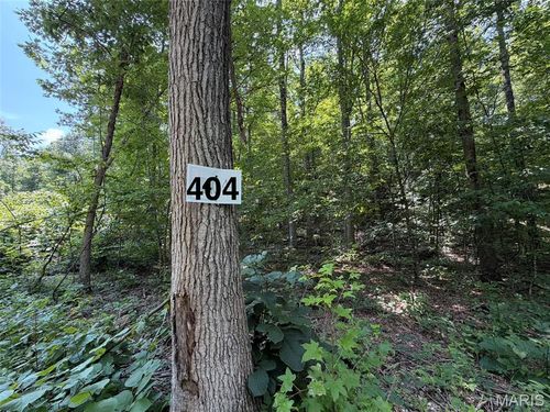 #404 Madison 410, Fredericktown, MO, 63645 | Card Image