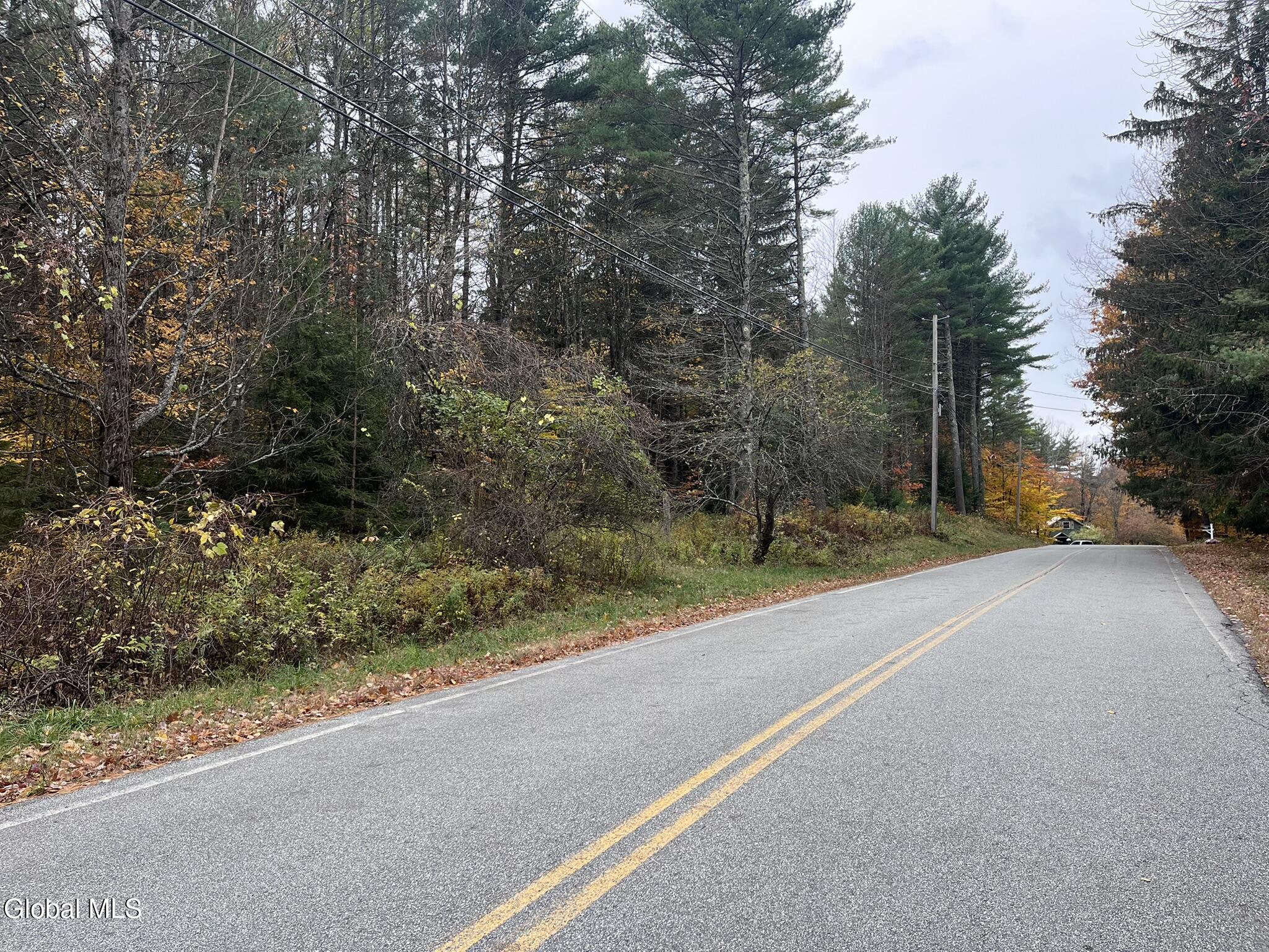 Land in Lake George 4
