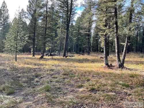 4167 Forestview Dr, Island Park, ID, 83429-5063 | Card Image