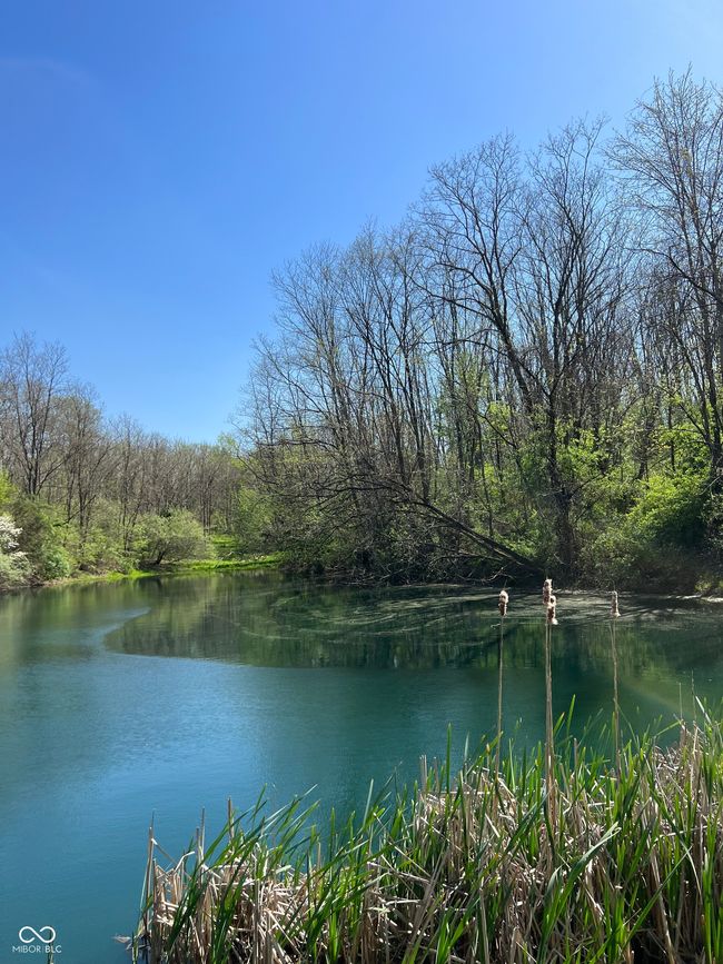 20181 Bates Farm East Dr, House other with 3 bedrooms, 3 bathrooms and null parking in Metamora IN | Image 24
