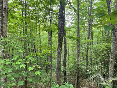 279-Lt 279 Cabin Flats Rd, Balsam, NC, 28707 | Card Image