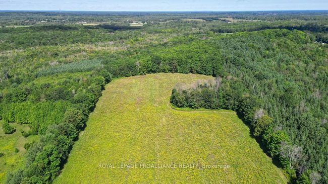 128 Boundary Rd, Home with 0 bedrooms, 0 bathrooms and 1 parking in Roslin ON | Image 20