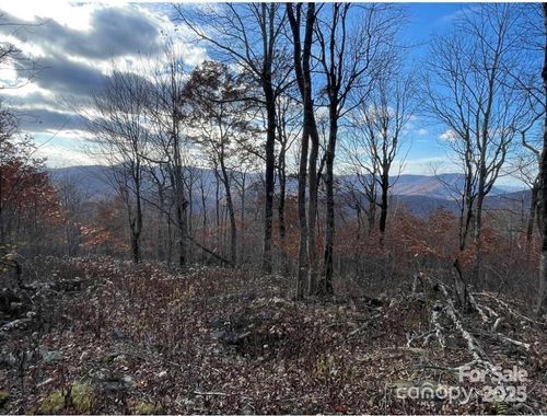 16-LOT 16 Crown Point Rd, West Jefferson, NC, 28694 | Card Image