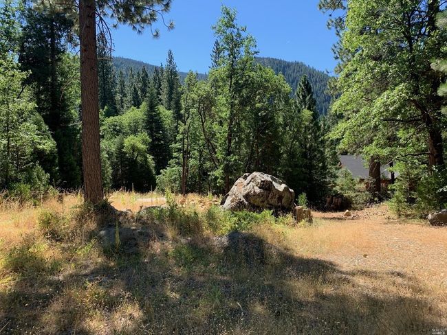 103 Lewis Ln, Home with 0 bedrooms, 0 bathrooms and null parking in Sierra City CA | Image 4