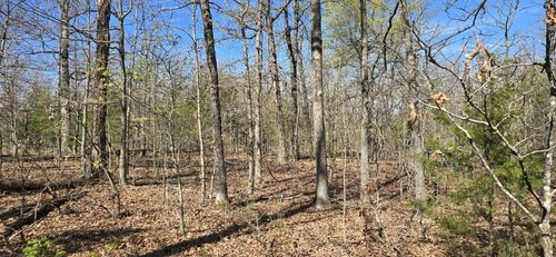 000 Timber Rd, Tunas, MO, 65764 | Card Image