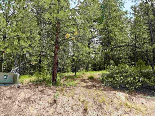 53 Landale Ln, Cascade, ID, 83611-5021 | Card Image
