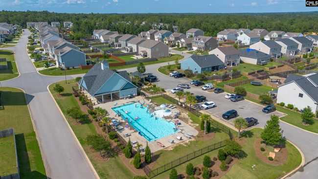 1420 Fair Forest Ln, House other with 4 bedrooms, 4 bathrooms and null parking in Chapin SC | Image 9