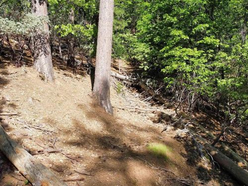 23804 Oxbow Ln S, Sonora, CA, 95370-9516 | Card Image