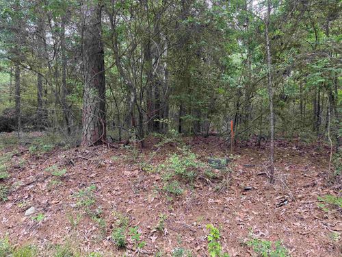 lots-237-and-236-237236 Arborcrest Drive, Brookeland, TX, 75931 | Card Image