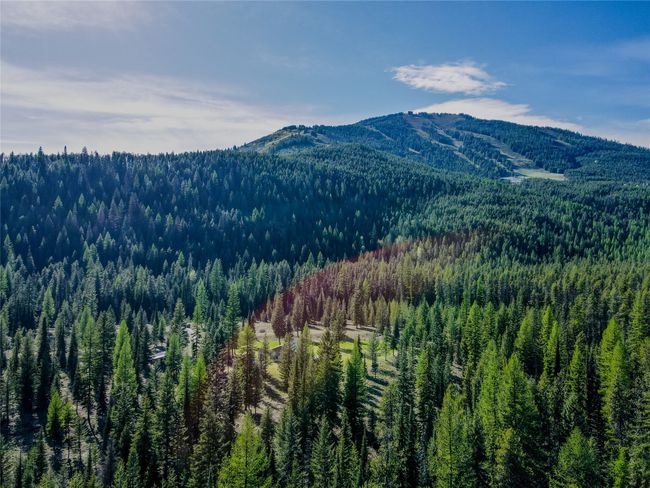 View of mountain backdrop featuring a forest | Image 39