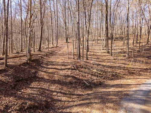 1110 Mayfield Ln Ne, Ranger, GA, 30734-6742 | Card Image