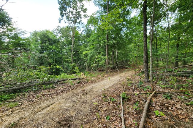 TRACT-3 - 0 Back Run Rd, Home with 0 bedrooms, 0 bathrooms and null parking in Philo OH | Image 23