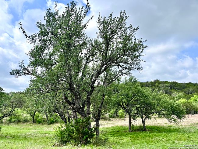 1155 Razor Ridge Rd, Home with 3 bedrooms, 2 bathrooms and null parking in Junction TX | Image 28