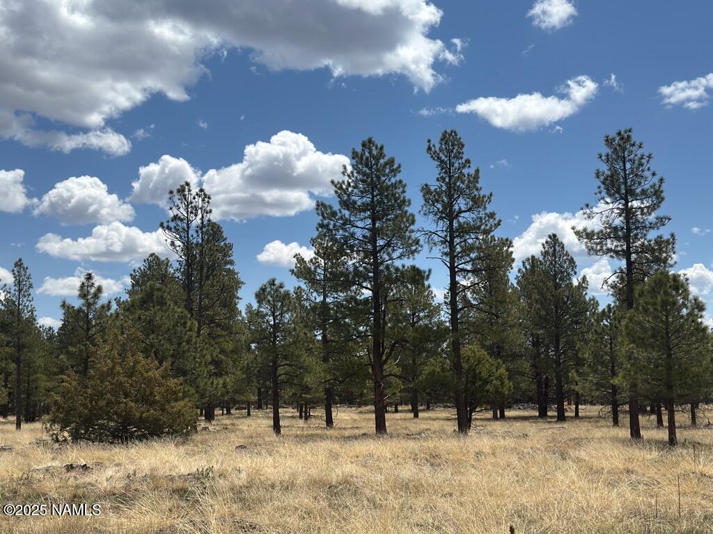 Land in Flagstaff 5