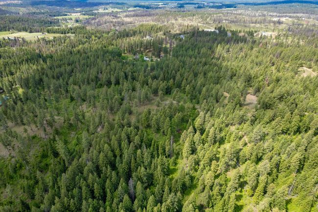 000 E Nelson Rd, Home with 0 bedrooms, 0 bathrooms and null parking in Elk WA | Image 17