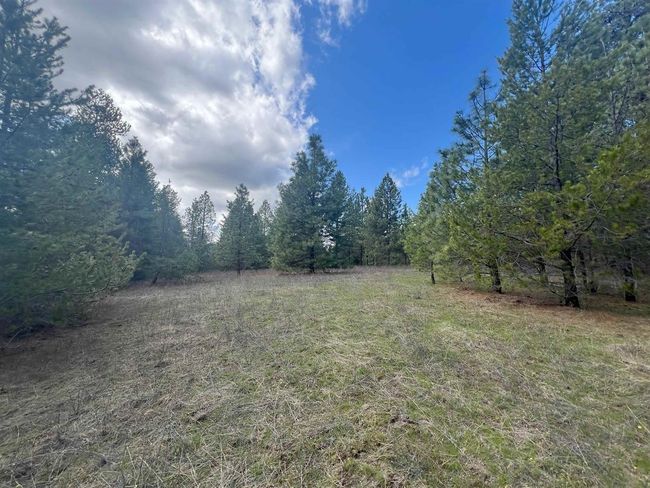 892 W Telephone Rd, Home with 0 bedrooms, 0 bathrooms and null parking in Newport WA | Image 9