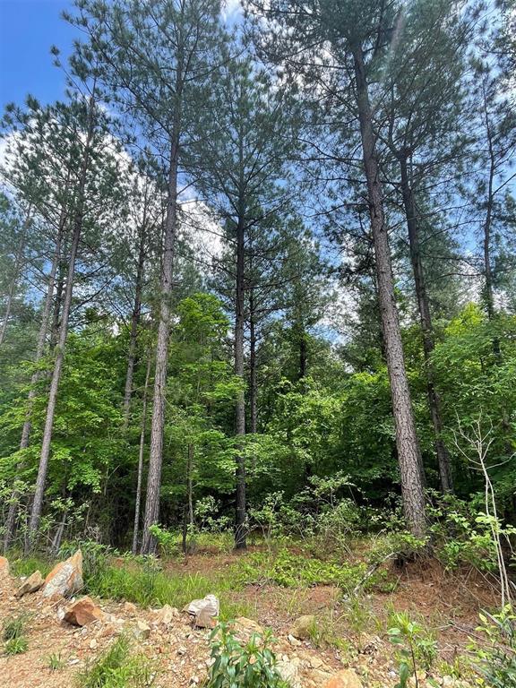 Land in Broken Bow 3