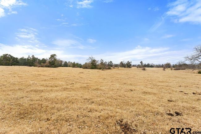 15037 State Highway 110, Home with 0 bedrooms, 0 bathrooms and null parking in Van TX | Image 45