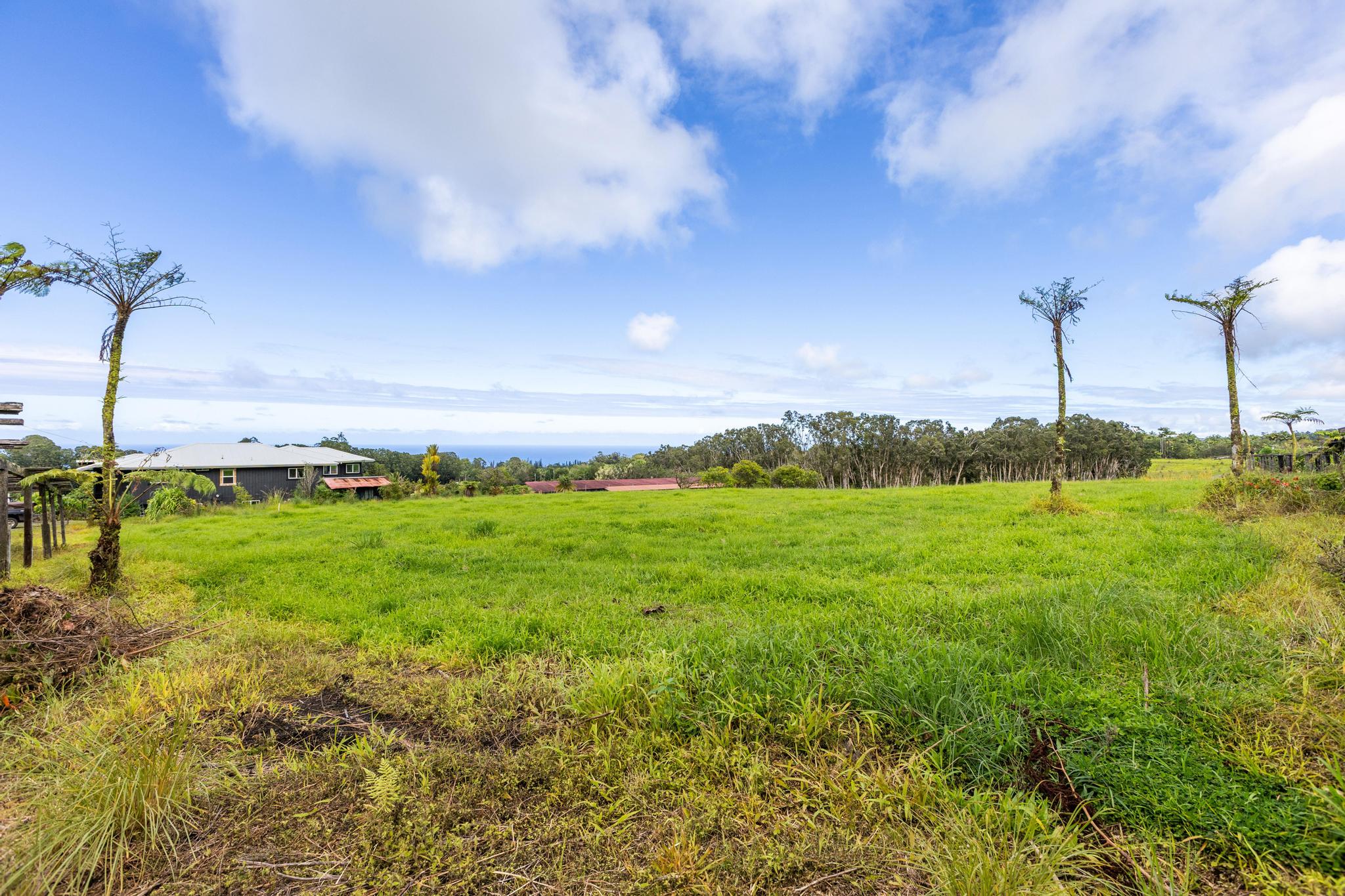 Land in Hakalau 5