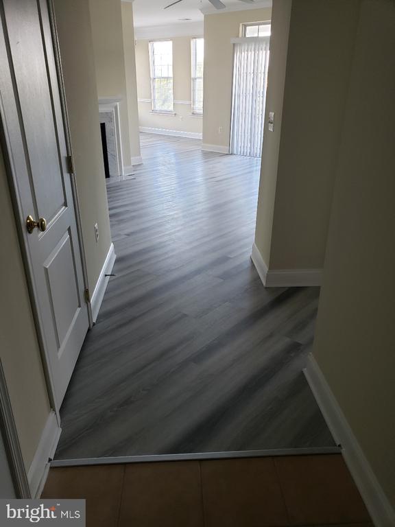 Residential Lease in CLARKSVILLE 3
