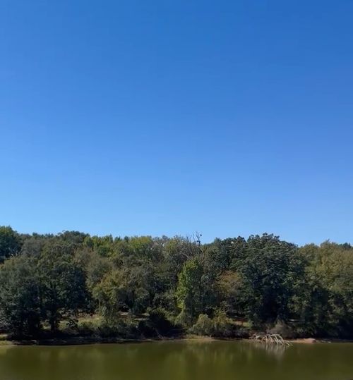 1406 E Royall Blvd, Malakoff, TX, 75148-9551 | Card Image