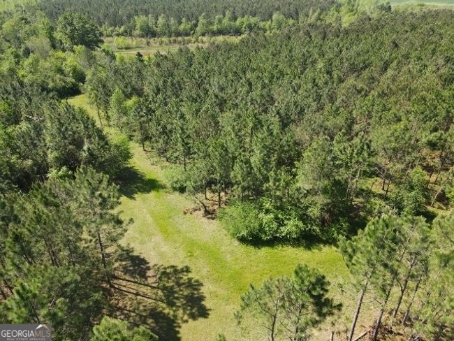 0 Sardis Church Rd, Home with 0 bedrooms, 0 bathrooms and null parking in Kite GA | Image 4
