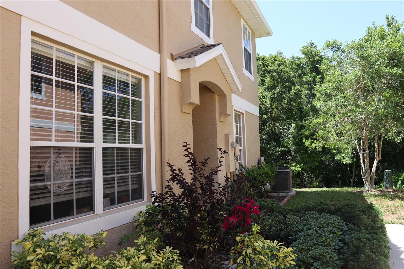 Shallow Creek Ct, New Port Richey, FL 34653