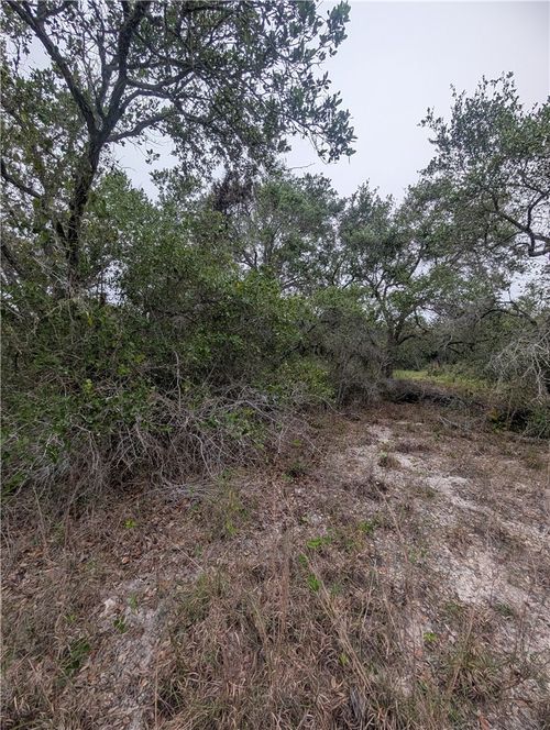 0 S 8th St, Aransas Pass, TX, 78336 | Card Image