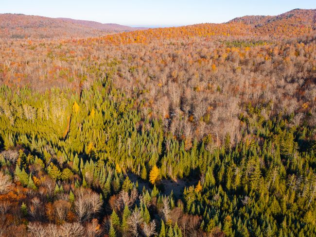 134 Haystack Mountain Road, House other with 4 bedrooms, 1 bathrooms and null parking in Piercefield NY | Image 68