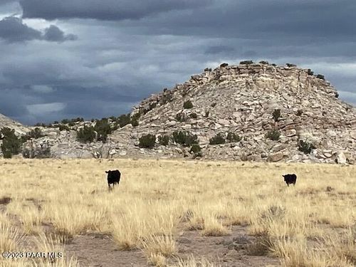 937 Woodland Valley Ranch, St Johns, AZ, 85936 | Card Image