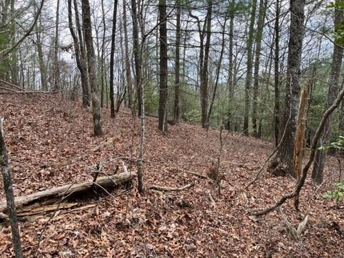 Lot 33 Sahkanaga Dr, Murphy, NC, 28906 | Card Image