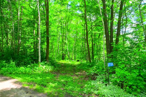 27589 Norway Trl, Randall, MN, 56475-2125 | Card Image