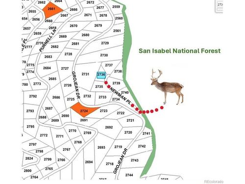 2736 Newman Pl, Fort Garland, CO, 81133 | Card Image