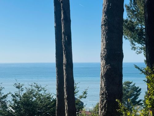 765 Upper Pacific Dr, Whitethorn, CA, 95589-9164 | Card Image