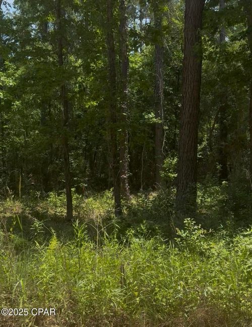 32428-XXX Ben Road, Chipley, FL, 32428 | Card Image