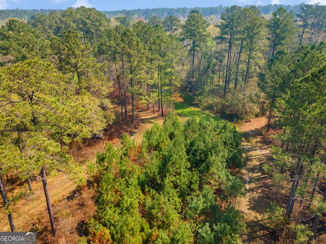 4103 Hadley Ferry Rd, House other with 2 bedrooms, 3 bathrooms and null parking in CAIRO GA | Image 32