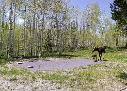 1239 Deer Ln, Kamas, UT, 84036 | Card Image