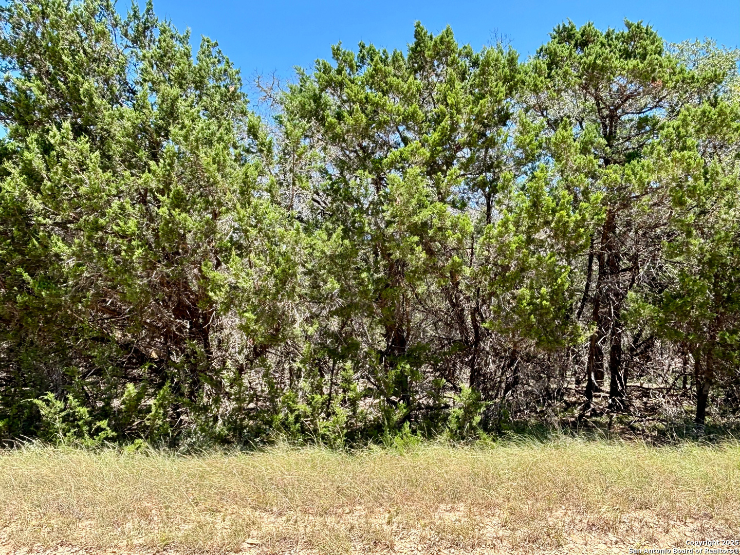 Land in Bandera 3