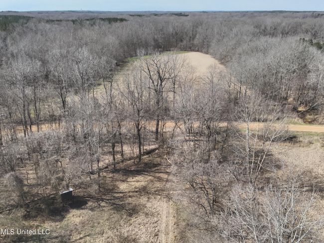 DJI_20250303113429_0016_V | Image 12
