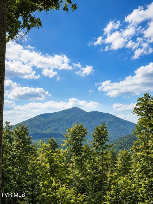 Tbd Heaton Branch Rd, Butler, TN, 37640 | Card Image