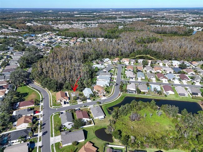 1323 Baythorn Dr, Home with 0 bedrooms, 0 bathrooms and null parking in Wesley Chapel FL | Image 13