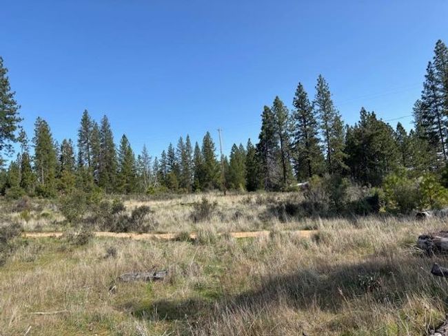 19292 Shawnee Trl, Home with 0 bedrooms, 0 bathrooms and null parking in Mokelumne Hill CA | Image 50
