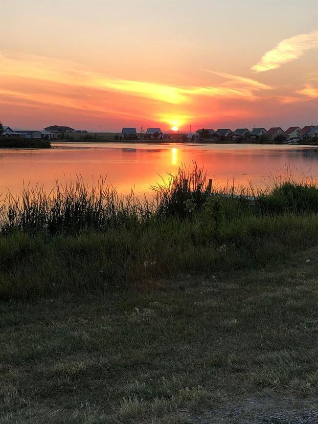 45056 Range Road 275, Home with 0 bedrooms, 0 bathrooms and null parking in Hill Spring AB | Image 47