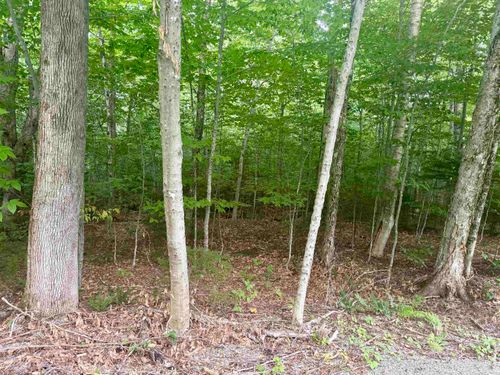 17 Nina Ln, West Dover, VT, 05356-8903 | Card Image