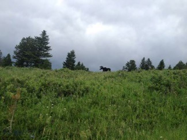 200 Peak Rd, House other with 3 bedrooms, 3 bathrooms and null parking in Bozeman MT | Image 43