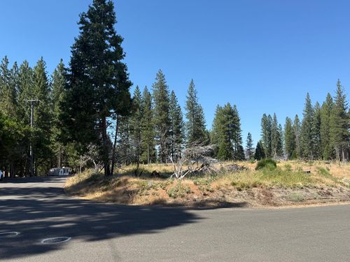 9981 Grizzly Flat Rd, Grizzly Flats, CA, 95636-9705 | Card Image