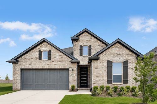 1729 Buck Trl, Celina, TX, 75009-4899 | Card Image