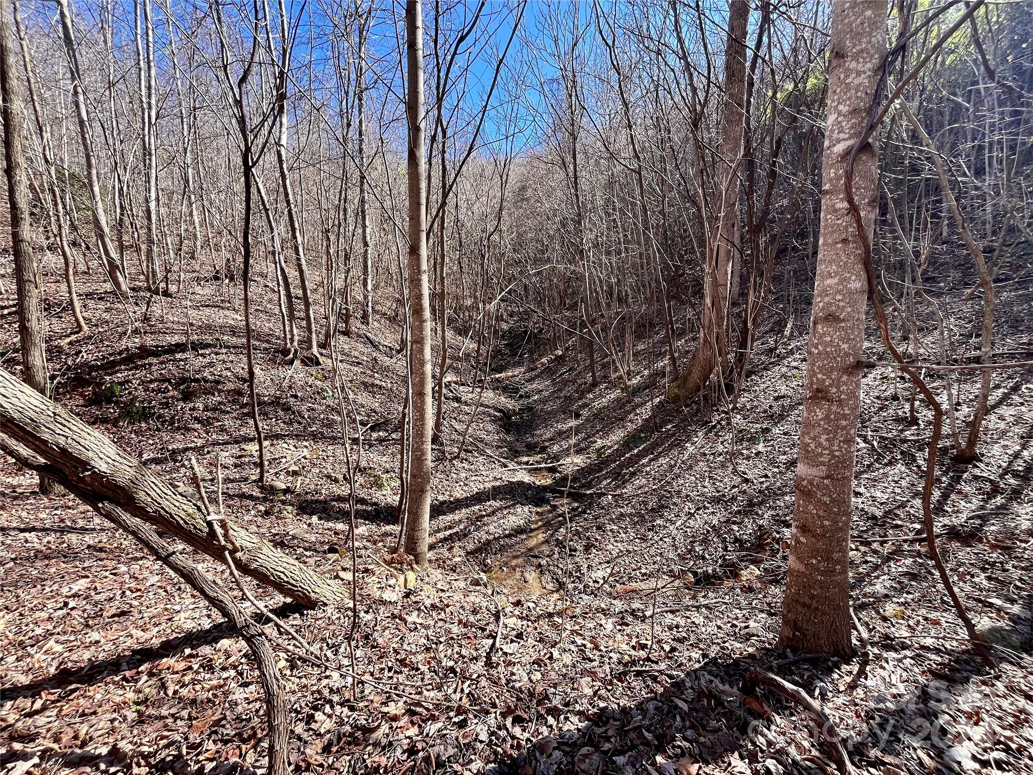 Land in Marion 2