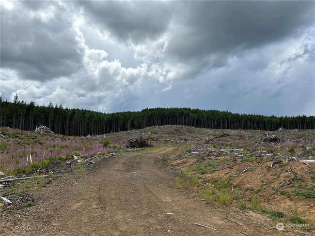 0 NKA 713 Road, Home with 0 bedrooms, 0 bathrooms and null parking in Castle Rock WA | Image 12