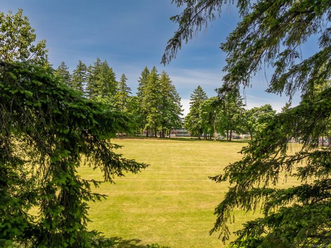 View of grassy yard | Image 28